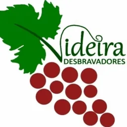 VIDEIRA