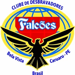 FALCÕES