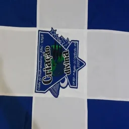 CRIAÇÃO DIVINA