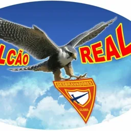 FALCÃO REAL