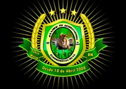 GUERREIROS DA SELVA