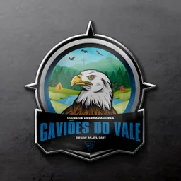 GAVIÕES DO VALE