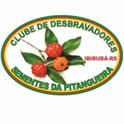 SEMENTES DA PITANGUEIRA