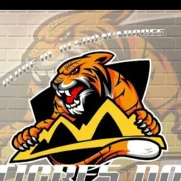 TIGRES DO MONTE