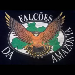 FALCÕES DA AMAZÔNIA