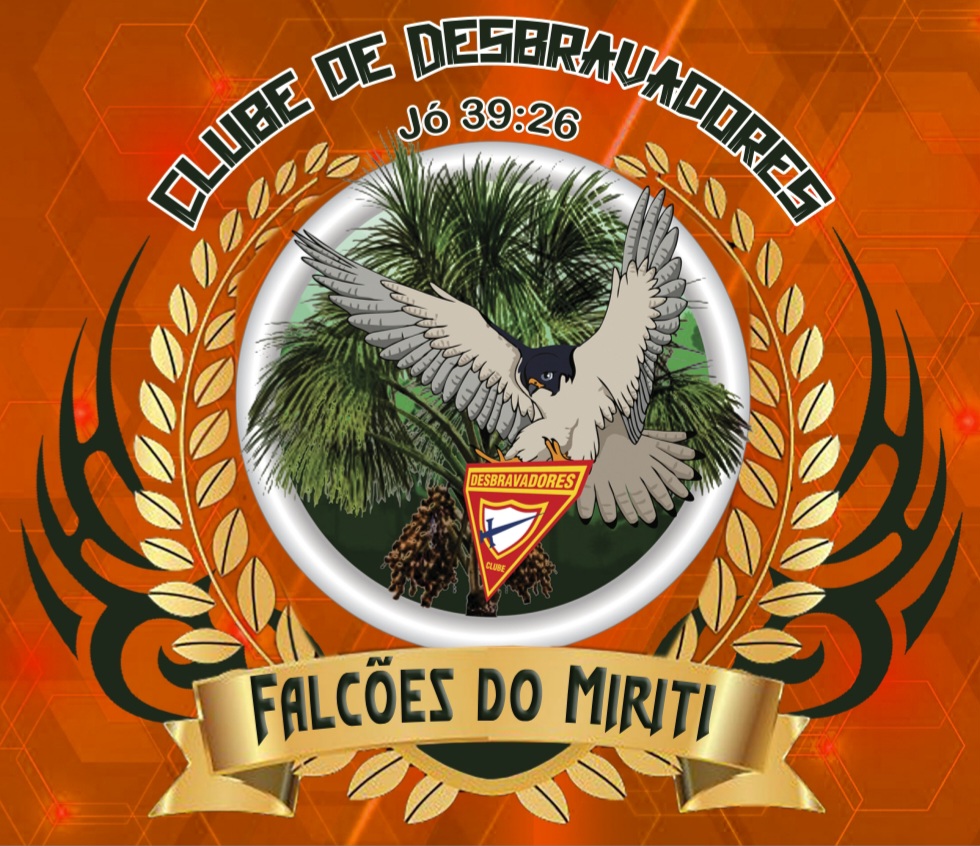 FALCÕES DO MIRITI