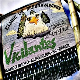 VIGILANTES