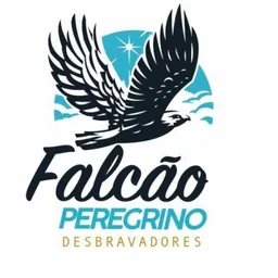 FALCÃO PEREGRINO