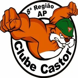 CASTOR