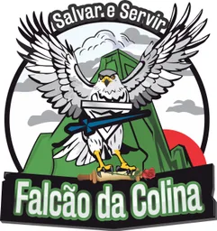 FALCÃO DA COLINA