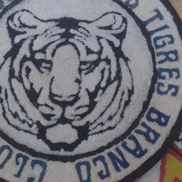 TIGRES BRANCOS