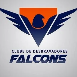 FALCONS