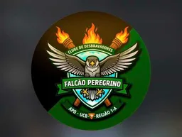 FALCÃO PEREGRINO