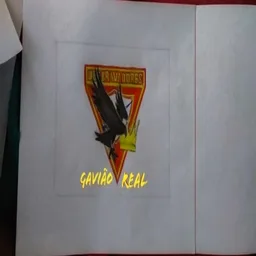 GAVIÃO REAL