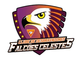 FALCÕES CELESTES