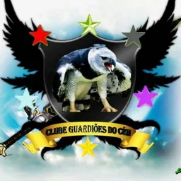 GUARDIÕES DO CÉU