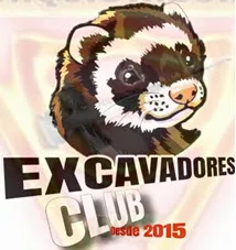 EXCAVADORES CQT