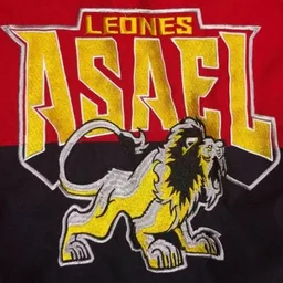 LEONES ASAEL