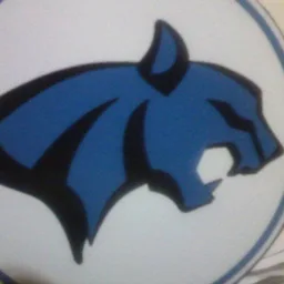 LOS PUMAS