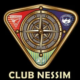 NESSIM