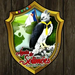 ÁGUIA DO SOLIMÕES