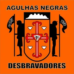 AGULHAS NEGRAS