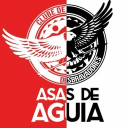 ASAS DE ÁGUIA