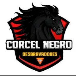 CORCEL NEGRO