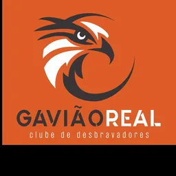 GAVIÃO REAL