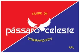 PÁSSARO CELESTE