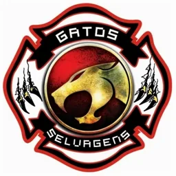 GATOS SELVAGENS