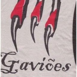 GAVIÕES