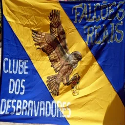 FALCÕES REAIS