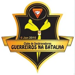 GUERREIROS NA BATALHA