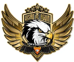 VISÃO DE ÁGUIA