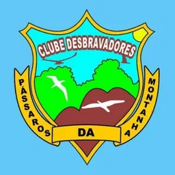 PÁSSAROS DA MONTANHA