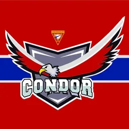 CONDOR