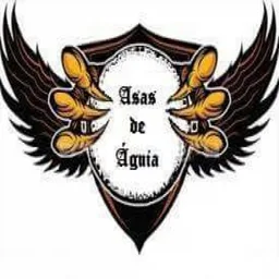 ASAS DE ÁGUIA