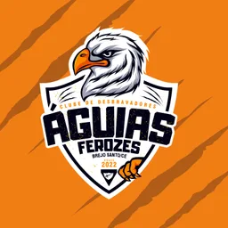 ÁGUIAS FEROZES