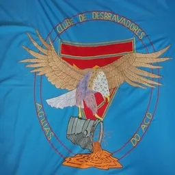 ÁGUIAS DO AÇO