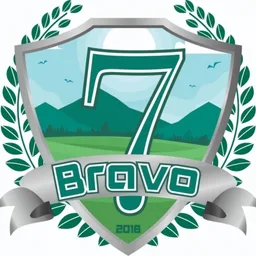 BRAVO 7