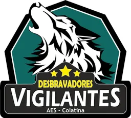 VIGILANTES