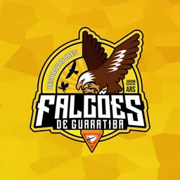 FALCÕES DE GUARATIBA