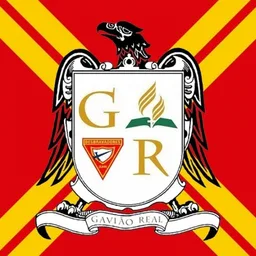 GAVIÃO REAL