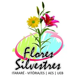 FLORES SILVESTRES
