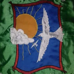 PÁSSAROS CELESTES