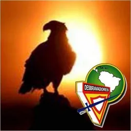 FALCÃO DOURADO
