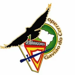 GAVIÃO DO CERRADO