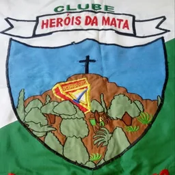 HERÓIS DA MATA