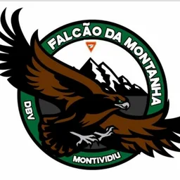 FALCÃO DA MONTANHA